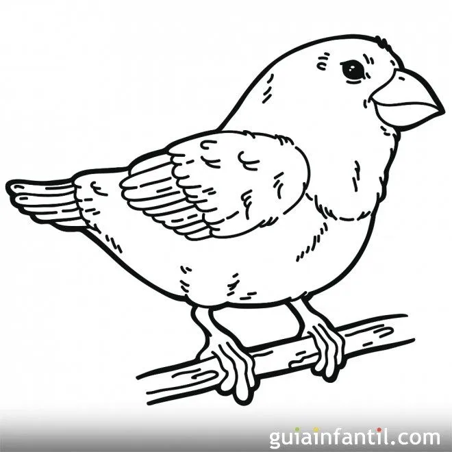 Dibujo de un pájaro en primavera para colorear - Primavera ... Dibujo de un pájaro en primavera para colorear - Primavera ...