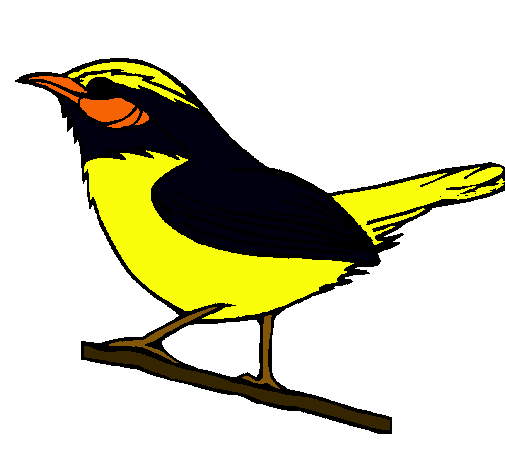 Dibujo de Pájaro silvestre pintado por Turpial en Dibujos.net el ... Dibujo de Pájaro silvestre pintado por Turpial en Dibujos.net el ...