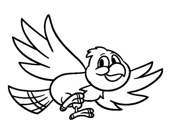 Dibujo de Pájaro volando para Colorear - Dibujos.net