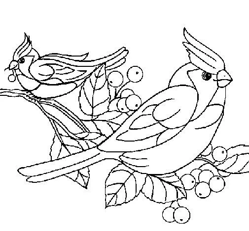 Dibujo de Pájaros para Colorear - Dibujos.net Dibujo de Pájaros para Colorear - Dibujos.net