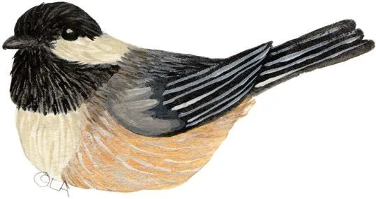 Dibujo de pajaros para imprimir - Imagenes y dibujos para imprimir Dibujo de pajaros para imprimir - Imagenes y dibujos para imprimir