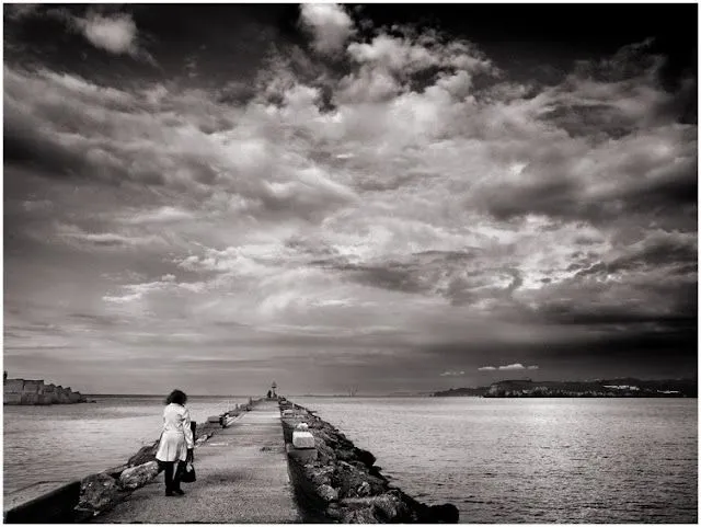 Dibujo palmera sin fondo - Imagui