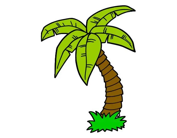 Dibujo de Palmera pintado por Leyva99 en Dibujos.net el día 01-12 ... Dibujo de Palmera pintado por Leyva99 en Dibujos.net el día 01-12 ...