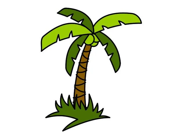 Dibujo de Palmera tropical pintado por Charlycar en Dibujos.net el ... Dibujo de Palmera tropical pintado por Charlycar en Dibujos.net el ...