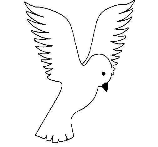 Dibujo de Paloma alzando las alas para Colorear - Dibujos.net