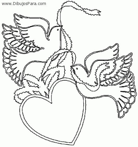 dibujo de dos palomas | Dibujos para Colorear