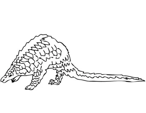 Dibujo de Pangolín para colorear | Dibujos para colorear imprimir ... Dibujo de Pangolín para colorear | Dibujos para colorear imprimir ...