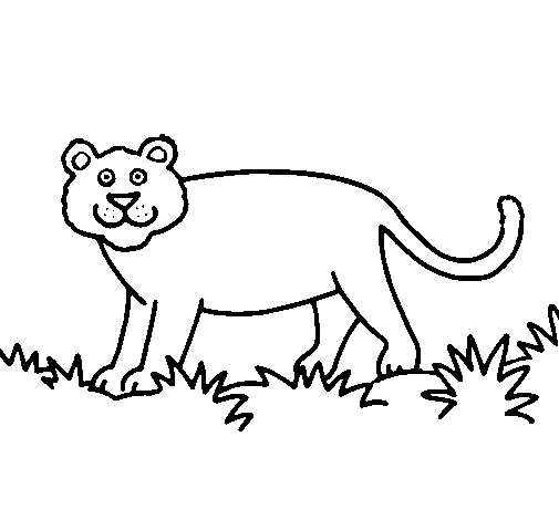 Dibujo de Pantera para Colorear - Dibujos.net Dibujo de Pantera para Colorear - Dibujos.net