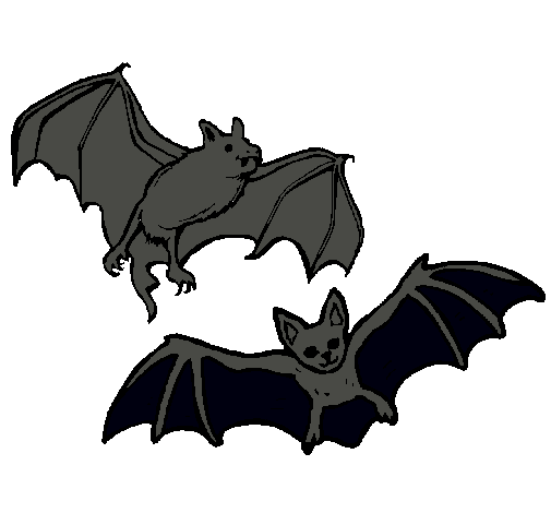 Dibujo de Un par de murciélagos pintado por Murcielago en Dibujos ...