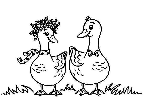 Dibujo de Pareja de patos para Colorear - Dibujos.net Dibujo de Pareja de patos para Colorear - Dibujos.net