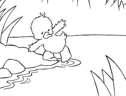 Dibujo de Patito al agua para colorear
