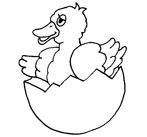 Dibujo de Patito en el cáscaron para Colorear - Dibujos.net Dibujo de Patito en el cáscaron para Colorear - Dibujos.net