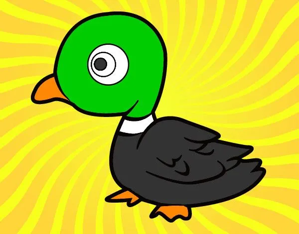 Dibujo de patito color pintado por Miriolas en Dibujos.net el día ...