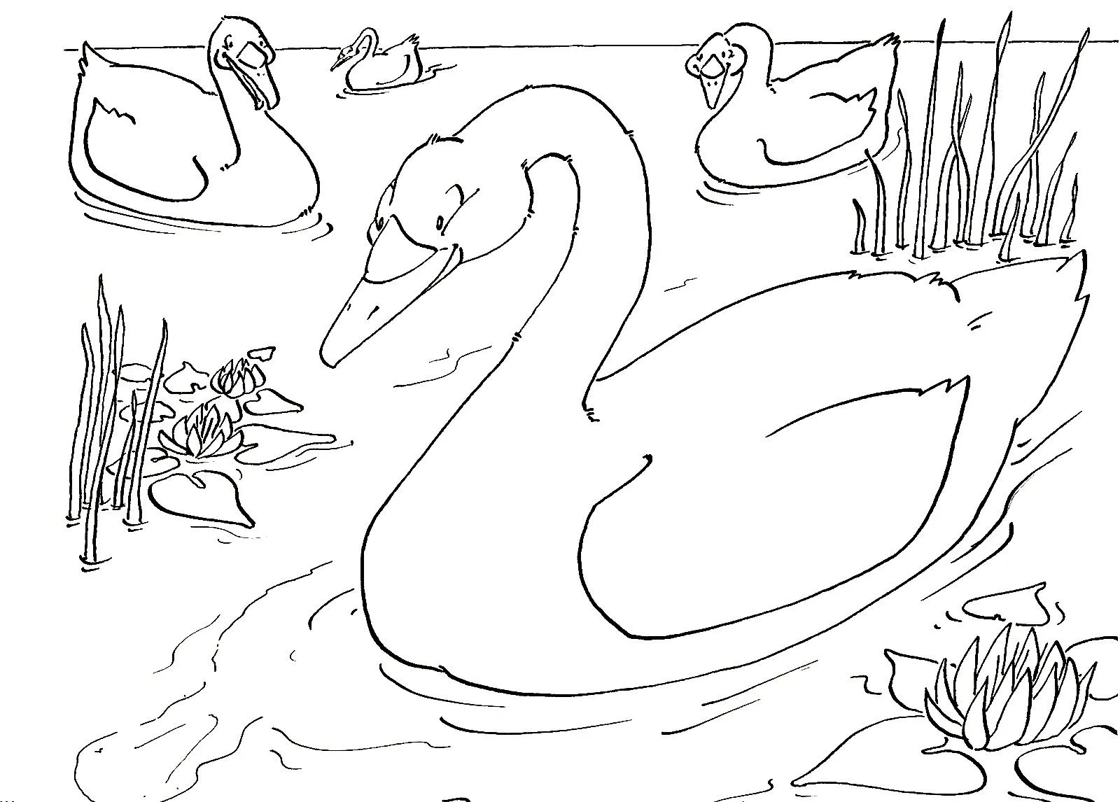 Dibujo del patito feo para imprimir - Imagui Dibujo del patito feo para imprimir - Imagui
