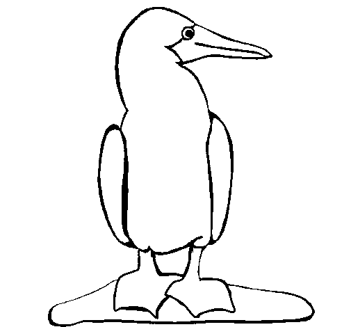 Dibujo de Pato 1 para Colorear - Dibujos.net Dibujo de Pato 1 para Colorear - Dibujos.net