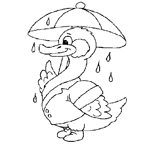 Dibujo de Pato bajo la lluvia para Colorear Dibujo de Pato bajo la lluvia para Colorear