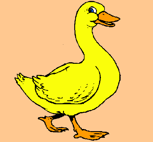 Dibujo de Pato pintado por Lili_17_ en Dibujos.net el día 28-06-11 ...