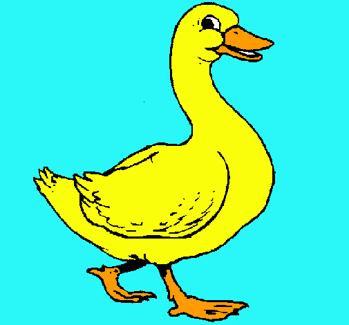 Dibujo de Pato pintado por Naomita en Dibujos.net el día 06-01-11 ... Dibujo de Pato pintado por Naomita en Dibujos.net el día 06-01-11 ...
