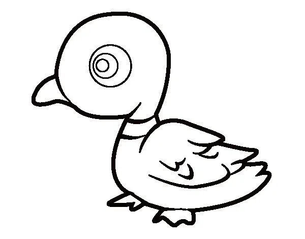 Dibujo de Pato de río para Colorear - Dibujos.net