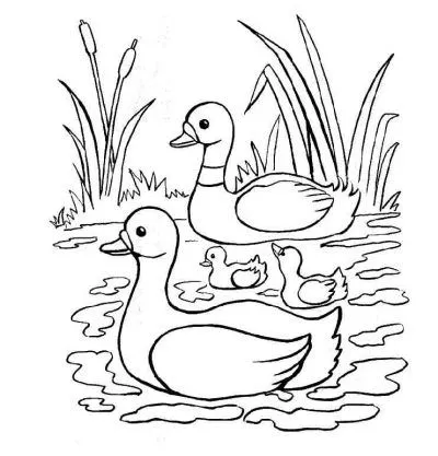 Dibujo de Patos y sus patitos. Dibujo para colorear de Patos y sus ...