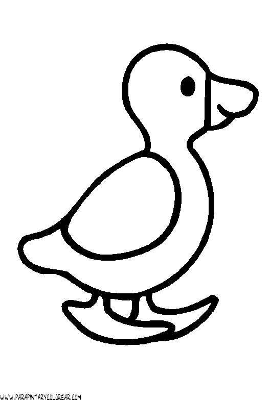 Patos en dibujo - Imagui