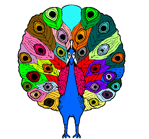 Dibujo de Pavo real pintado por Colores en Dibujos.net el día 22 ... Dibujo de Pavo real pintado por Colores en Dibujos.net el día 22 ...