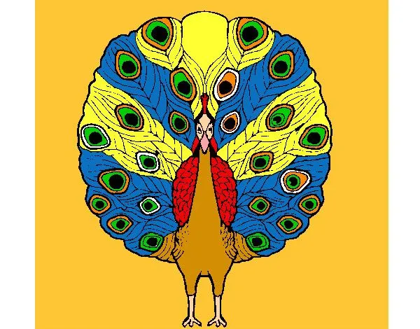 Dibujo de pavo real pintado por Florlinda en Dibujos.net el día 25 ... Dibujo de pavo real pintado por Florlinda en Dibujos.net el día 25 ...