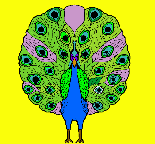 Dibujo de Pavo real pintado por Jenhizita en Dibujos.net el día 14 ... Dibujo de Pavo real pintado por Jenhizita en Dibujos.net el día 14 ...