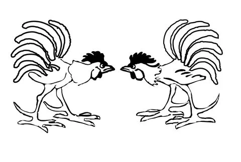 Dibujo de Pelea de gallos para colorear | Dibujos para colorear ... Dibujo de Pelea de gallos para colorear | Dibujos para colorear ...