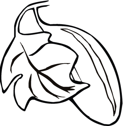 Dibujo de Un pepino para colorear | Dibujos para colorear imprimir ... Dibujo de Un pepino para colorear | Dibujos para colorear imprimir ...