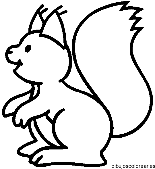 Dibujo de una pequeña ardilla | Dibujos para Colorear Dibujo de una pequeña ardilla | Dibujos para Colorear