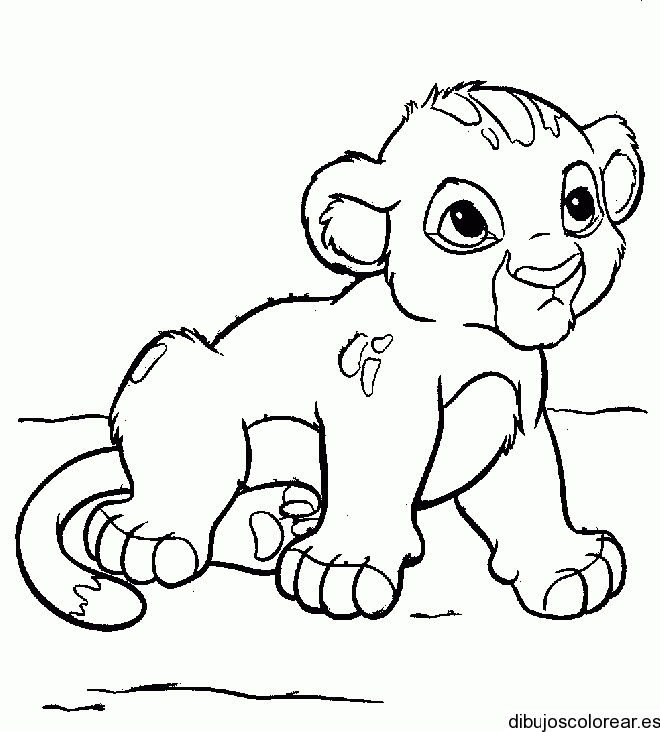 El Rey León | Dibujos para Colorear