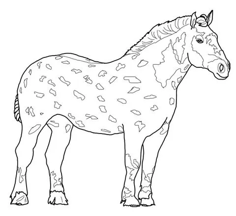 Dibujo de Percherón para colorear | Dibujos para colorear imprimir ... Dibujo de Percherón para colorear | Dibujos para colorear imprimir ...