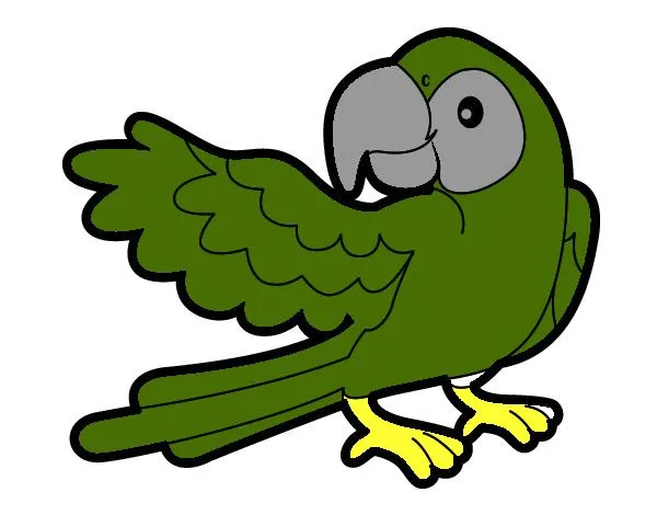 Dibujo de perico pintado por Aridasa en Dibujos.net el día 27-02 ... Dibujo de perico pintado por Aridasa en Dibujos.net el día 27-02 ...