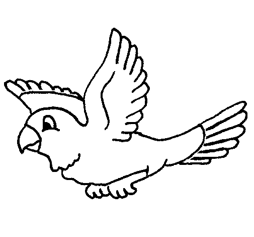 Dibujo de Periquito para Colorear - Dibujos.net Dibujo de Periquito para Colorear - Dibujos.net