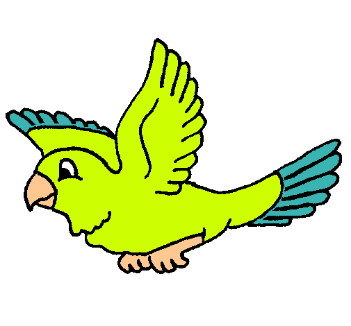 Dibujo de Periquito pintado por Perico en Dibujos.net el día 05-02 ... Dibujo de Periquito pintado por Perico en Dibujos.net el día 05-02 ...