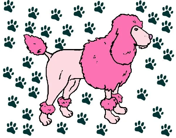 Dibujo de La perrita más hermosa de todas pintado por Canduchi en ...