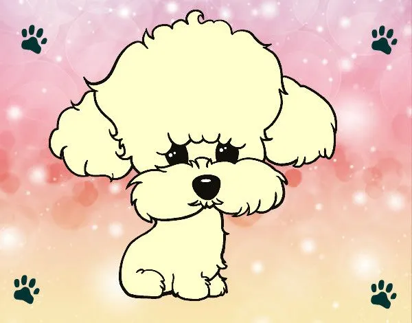 Dibujo de mi perrita pintado por Sasasos en Dibujos.net el día 08 ...