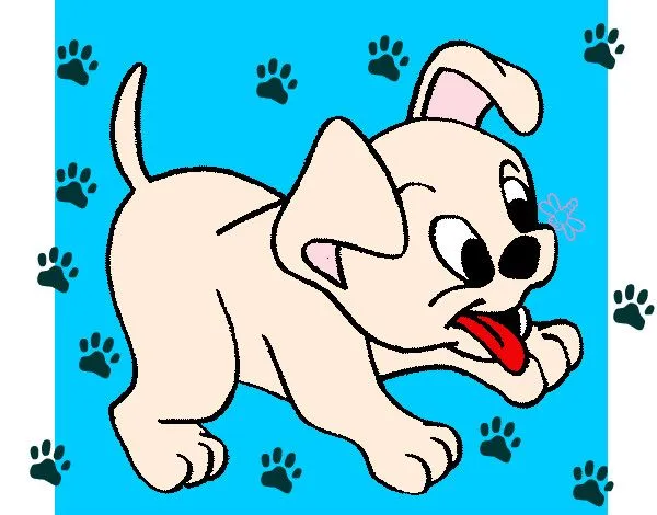 Dibujo de mi perrito pintado por Pechi en Dibujos.net el día 31-03 ... Dibujo de mi perrito pintado por Pechi en Dibujos.net el día 31-03 ...
