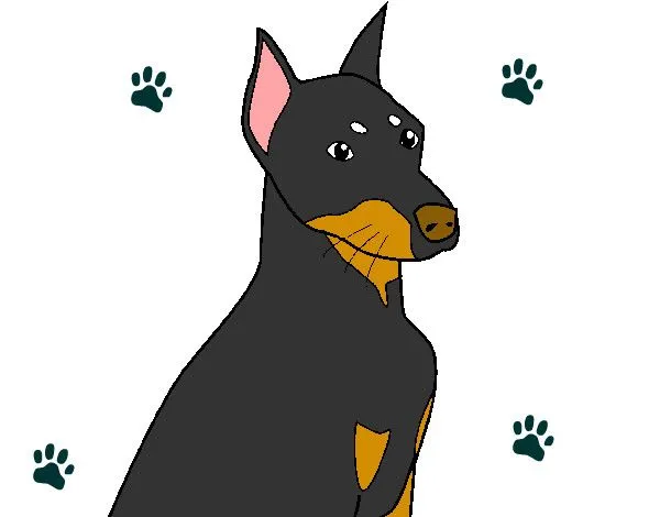 Dibujo de perrito pintado por Tobyrela en Dibujos.net el día 15-08 ... Dibujo de perrito pintado por Tobyrela en Dibujos.net el día 15-08 ...