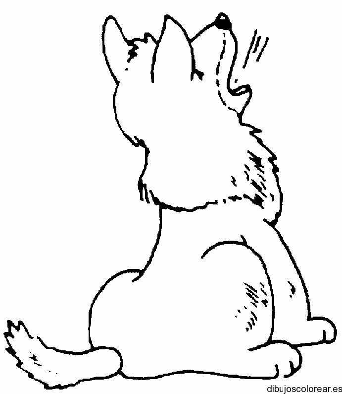 Dibujo de un perro aullando | Dibujos para Colorear Dibujo de un perro aullando | Dibujos para Colorear