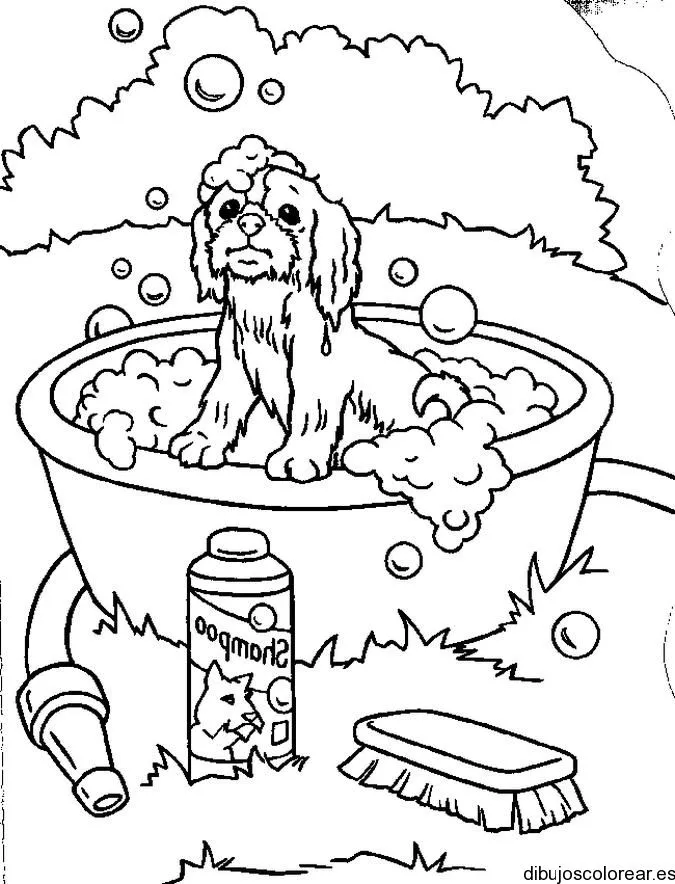 Dibujo de un perro en una bañera | Dibujos para Colorear Dibujo de un perro en una bañera | Dibujos para Colorear