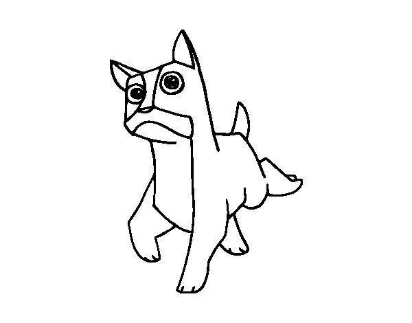 Dibujo de Un perro bóxer para Colorear - Dibujos.net Dibujo de Un perro bóxer para Colorear - Dibujos.net
