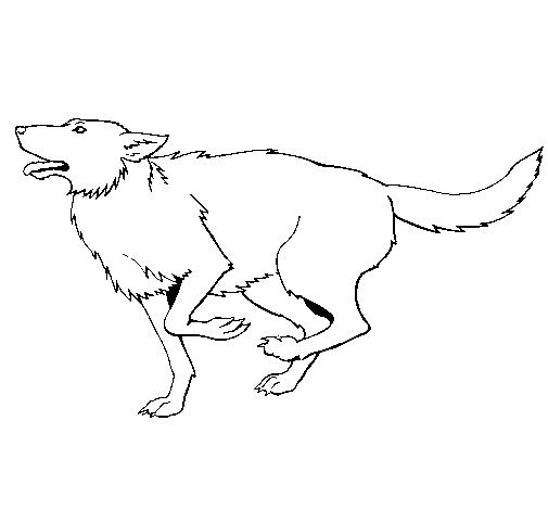 Dibujo de Perro corriendo para Colorear - Dibujos.net Dibujo de Perro corriendo para Colorear - Dibujos.net