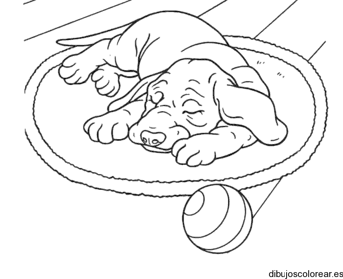 Dibujos de Animales | Dibujos para Colorear Dibujos de Animales | Dibujos para Colorear