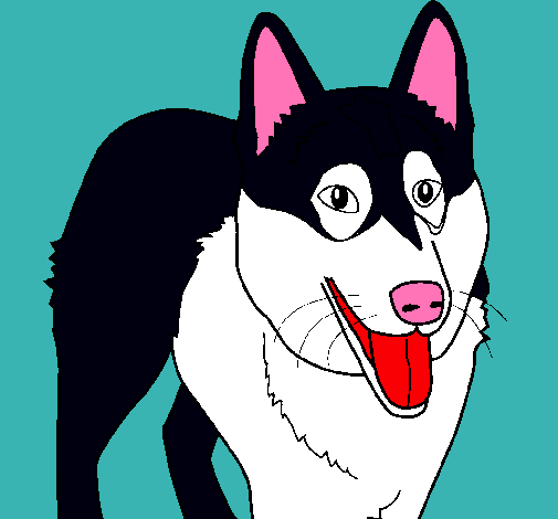 Dibujo de Perro Pastor Alemán pintado por Bravo en Dibujos.net el ... Dibujo de Perro Pastor Alemán pintado por Bravo en Dibujos.net el ...