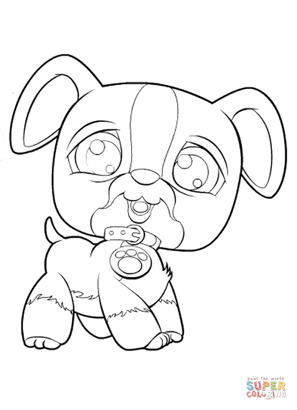 Dibujo de Perro Pet Shop para colorear | Dibujos para colorear ... Dibujo de Perro Pet Shop para colorear | Dibujos para colorear ...
