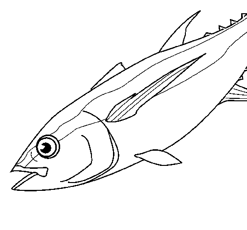Dibujo de Pez 4a para Colorear - Dibujos.net Dibujo de Pez 4a para Colorear - Dibujos.net
