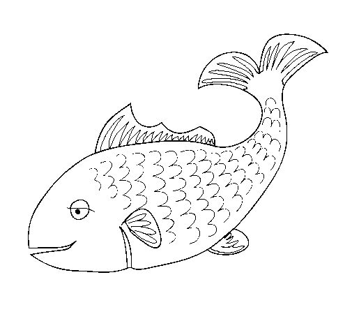 Dibujo de Pez 3 para Colorear - Dibujos.net Dibujo de Pez 3 para Colorear - Dibujos.net