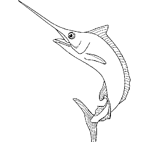 Dibujo de Pez espada para Colorear - Dibujos.net Dibujo de Pez espada para Colorear - Dibujos.net